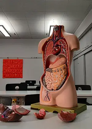 Gastroenterologija i hepatologija